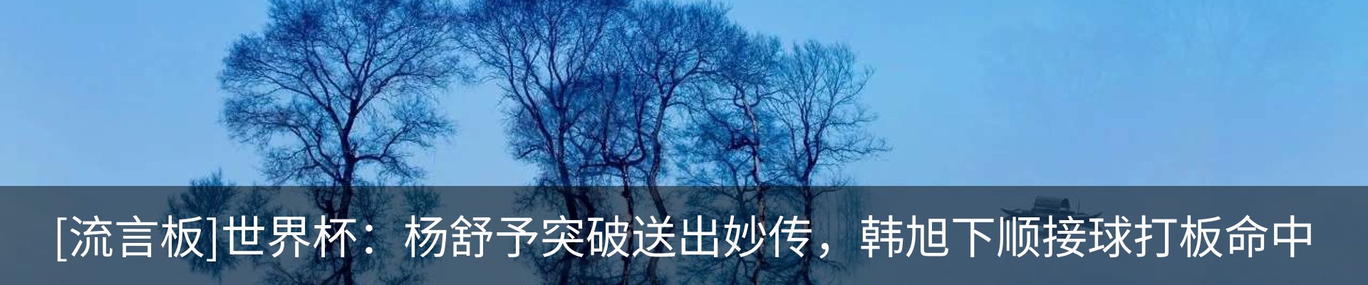 新闻动态